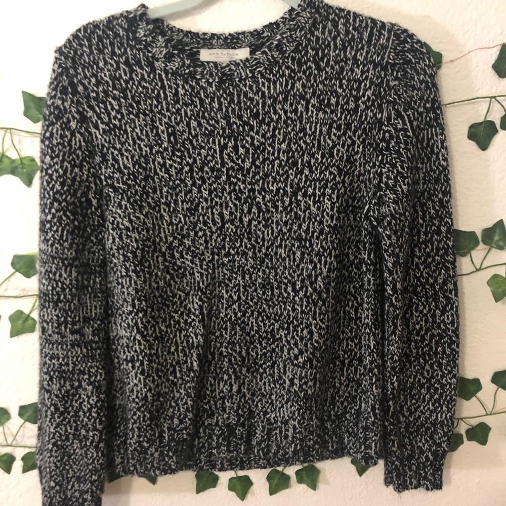 Anne Taylor Sweater